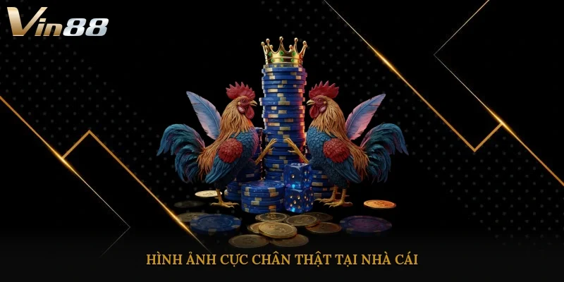 Hình ảnh cực chân thật tại nhà cái