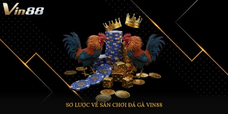 Sơ lược về sân chơi đá gà Vin88