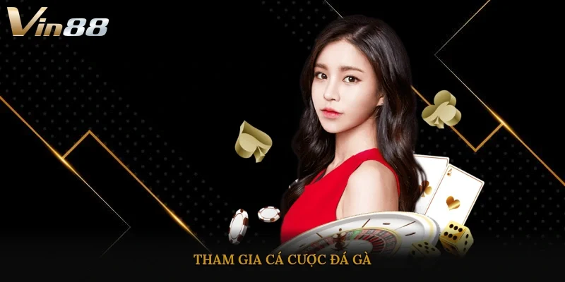 Tham gia cá cược đá gà