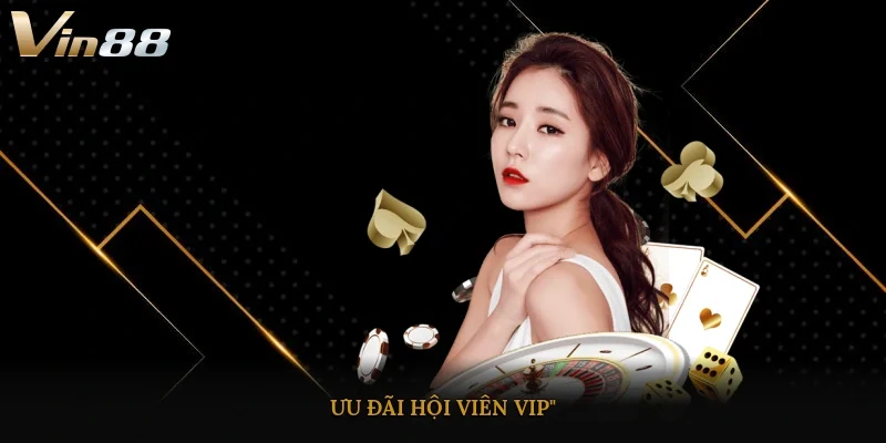 Ưu đãi hội viên vip