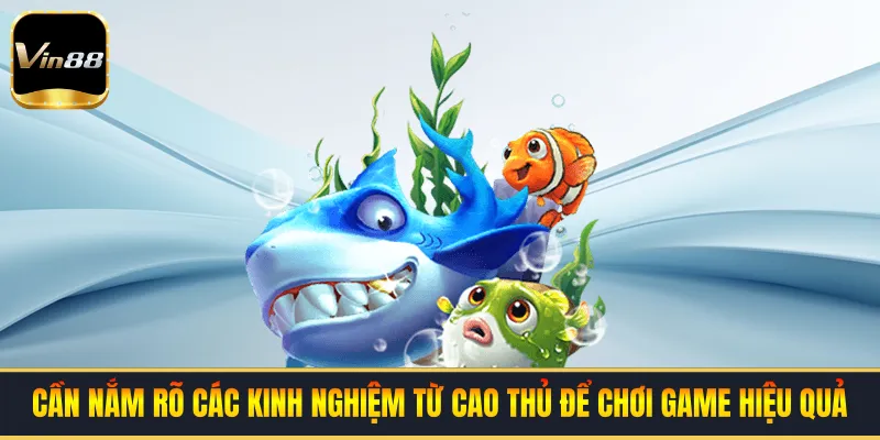 Cần nắm rõ các kinh nghiệm từ cao thủ để chơi game hiệu quả