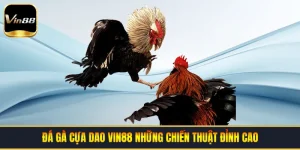 Đá Gà Cựa Dao VIN88 | Những Chiến Thuật Đỉnh Cao