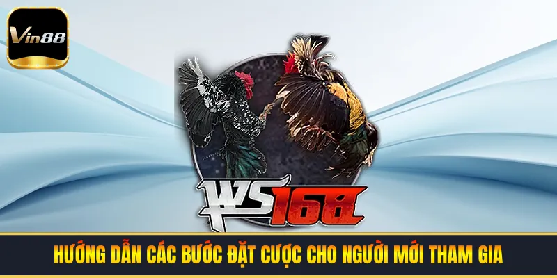 Hướng dẫn các bước đặt cược cho người mới tham gia