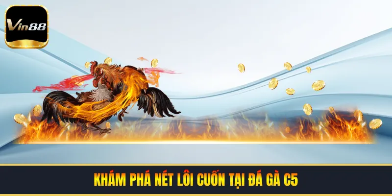 Khám phá nét lôi cuốn tại đá gà C5