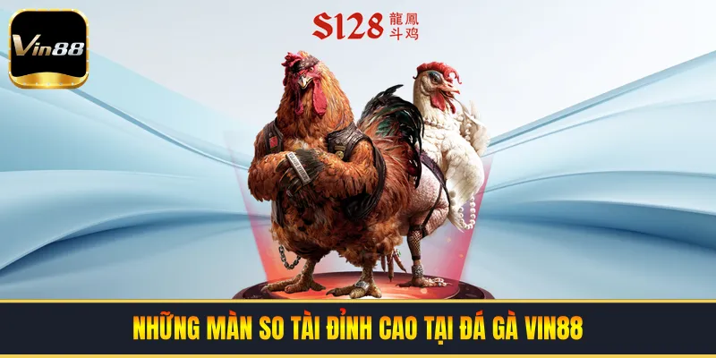 Những màn so tài đỉnh cao tại đá gà VIN88