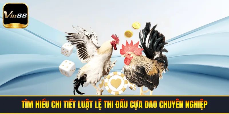 Tìm hiểu chi tiết luật lệ thi đấu cựa dao chuyên nghiệp